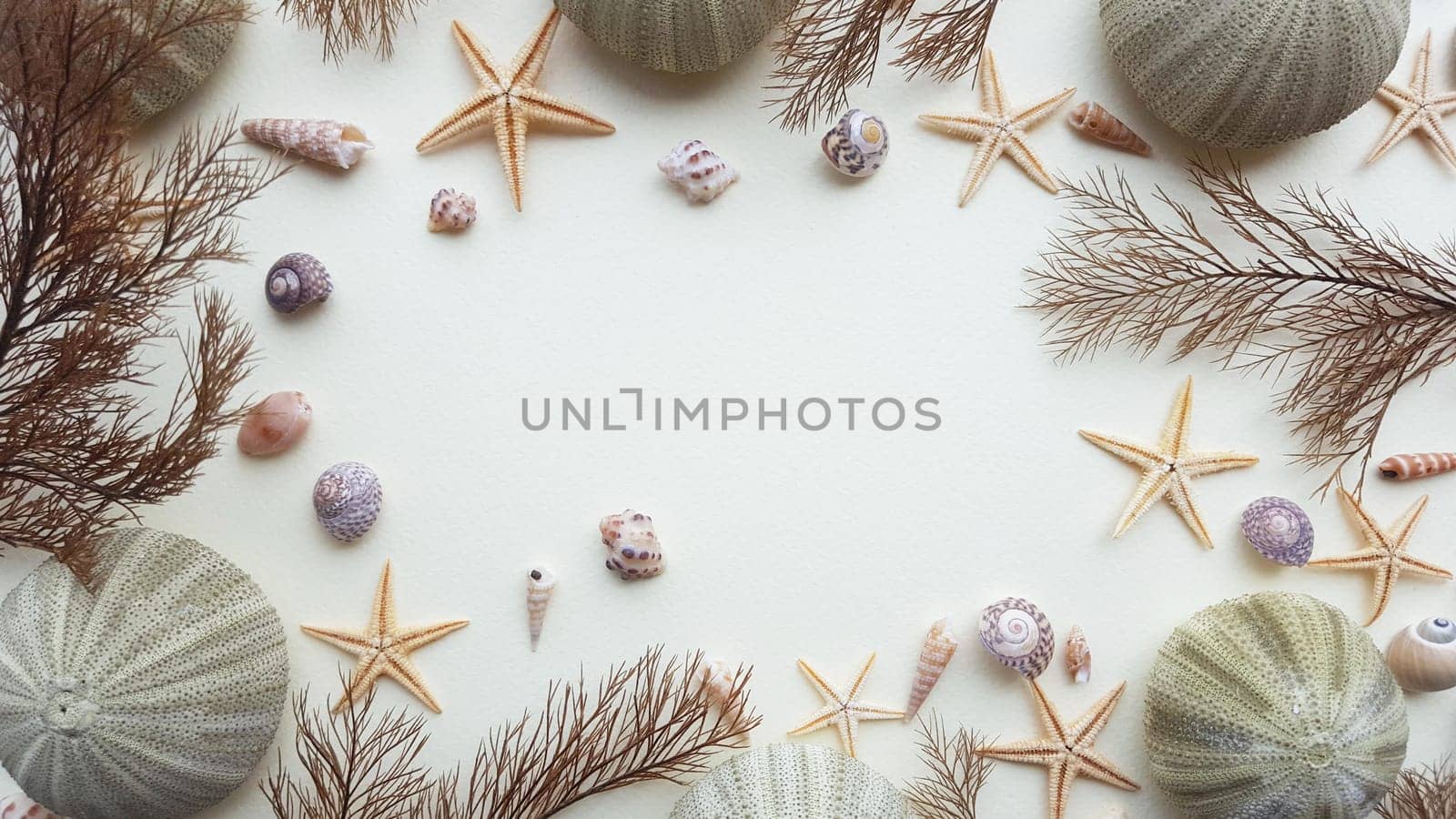 organism,nature,textile,botany,leaf,natural,material,branch,christmas,ornament,wood,blue,fir,snowflake,tree,winter