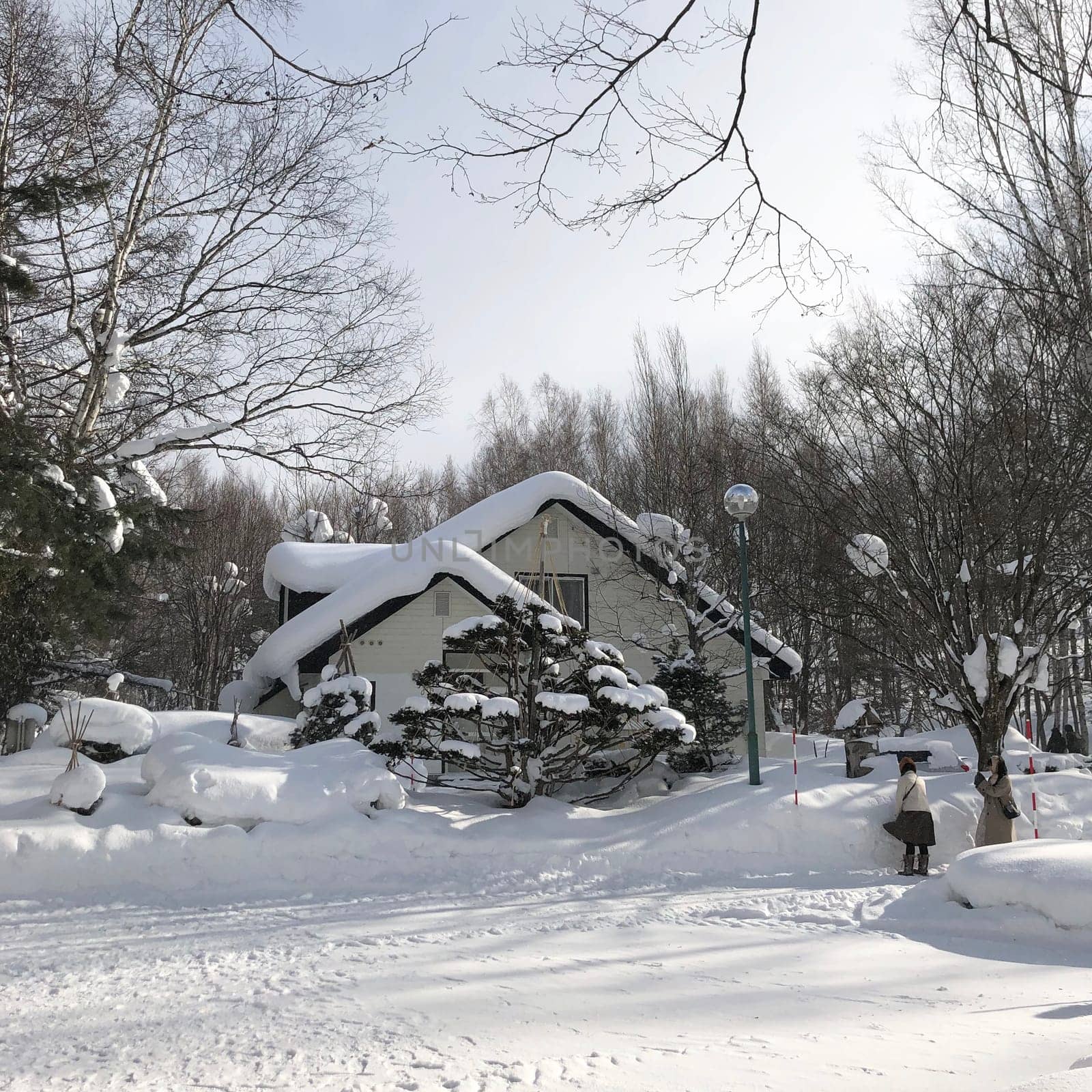 blizzard,branch,freezing,frost,home,house,ice,photography,snow,tree,winter