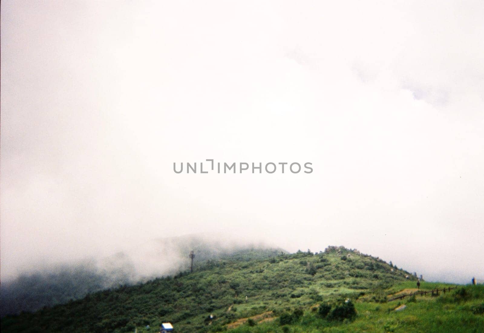 atmosphere,cloud,fog,haze,hill,landscape,mist,sea,sky,tree by ogqcorp
