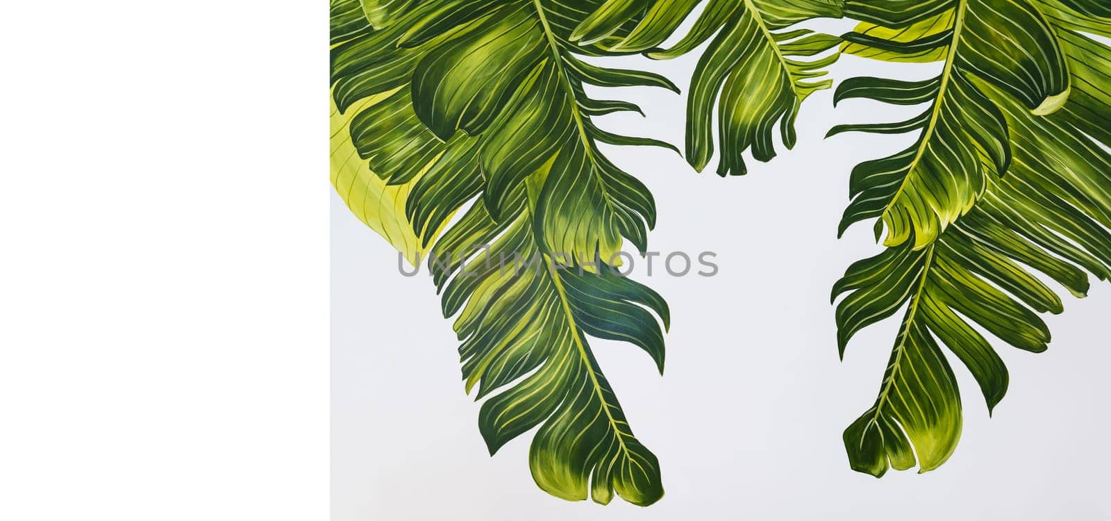 Tropical palm leaves are beautifully painted with acrylic paint in different shades of green. Place for an inscription. by sfinks