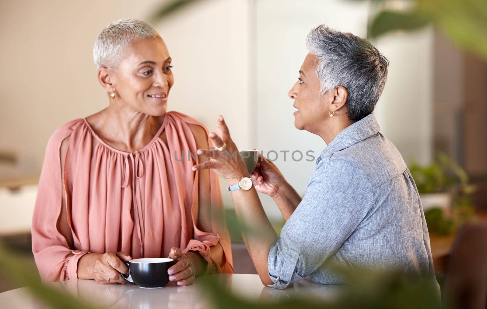 Senior women, friends and talking in cafe, having fun and bonding. Coffee shop, communication and retired elderly females drinking espresso, chatting and enjoying quality time together on weekend