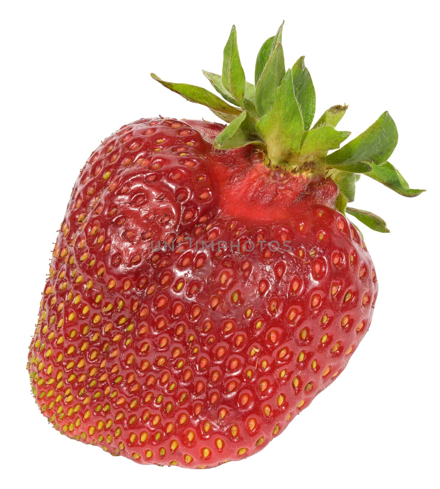 Whole ripe red strawberries on a white isolated background by ndanko