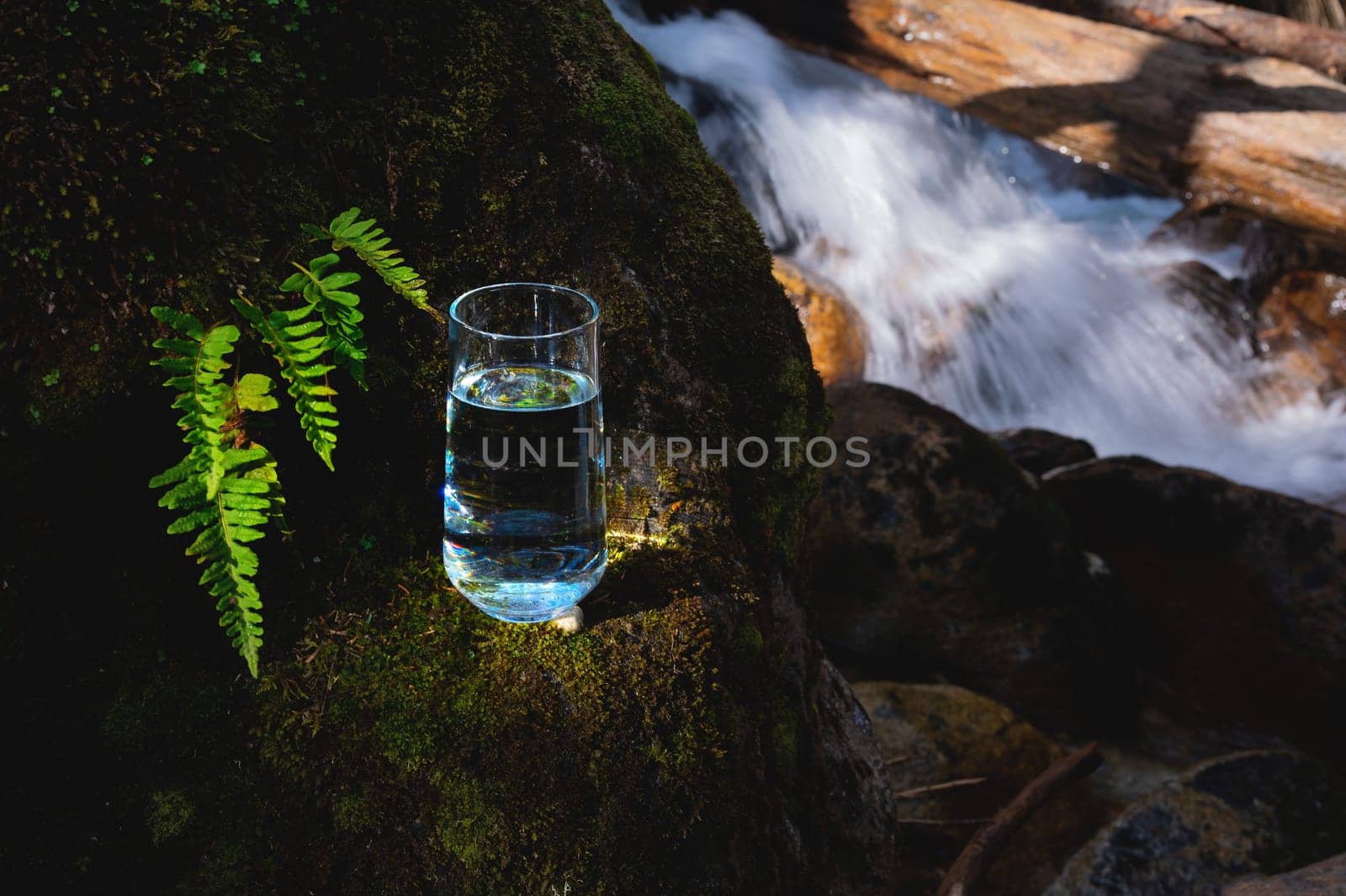 Clean water healthy concept. Transparent water from a mountain river in a coniferous forest in a glass glass stands on a stone against the background of splashes of a mountain river.