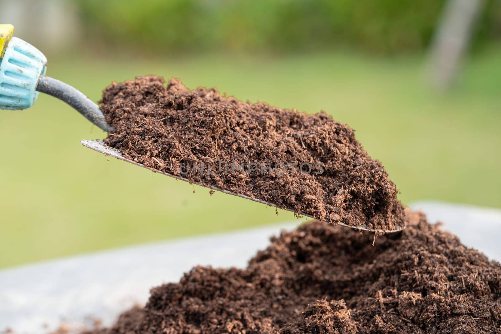 Gardener woman holding peat moss organic matter improve soil for agriculture organic plant growing, ecology concept.