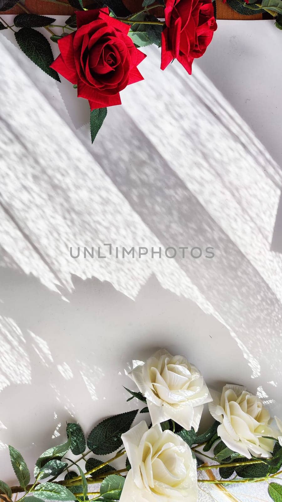 Background and texture with beautiful white and red roses with light and shadow from sun. Abstract cart with frame framed with roses, copy space and place for text. Concept of gifts, beauty, holiday