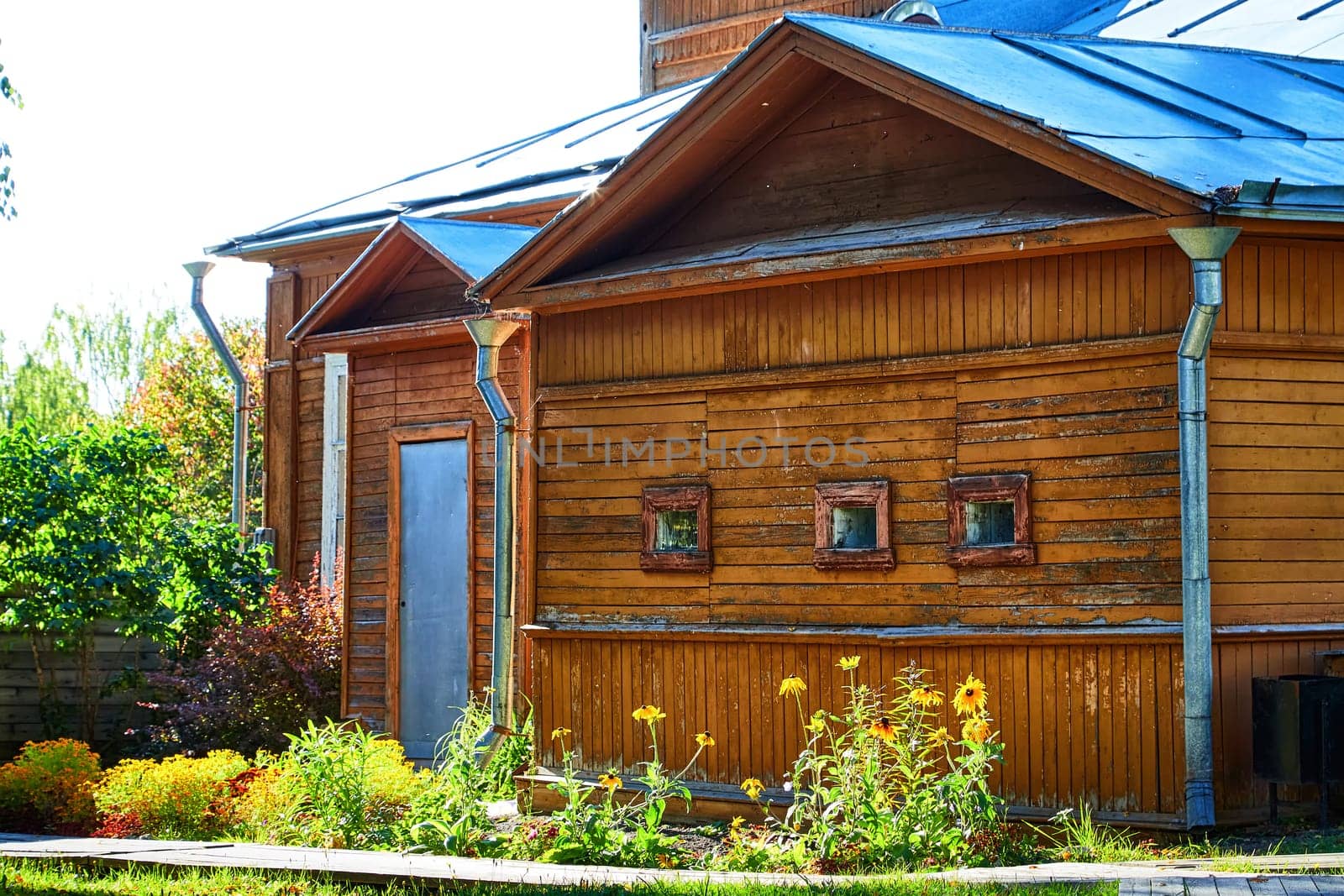 An old wooden rural house in countryside village on a sunny summer or spring day and greenery with trees and grass arround