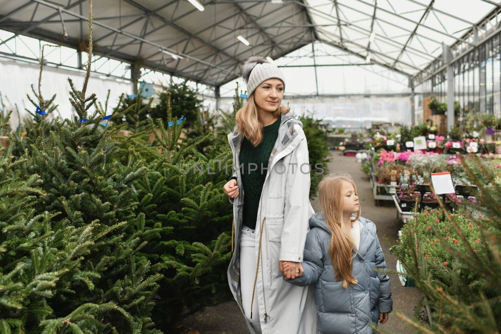 Mother and daughter choose a Christmas tree in the market.