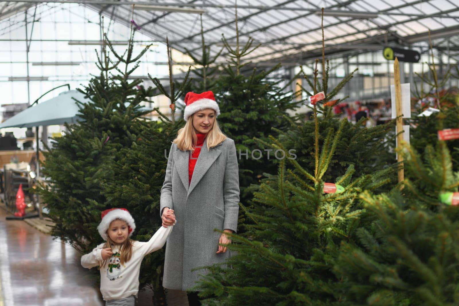 Mother and daughter choose a Christmas tree at a market.