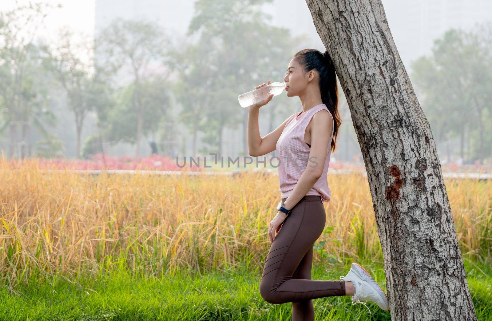 Asian sport woman lean tree and drink water from bottle with grass field as background during exercise in park or garden with morning light.