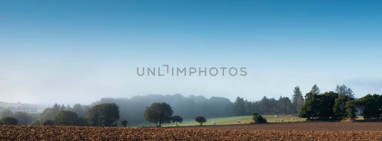 rural countryside landscape of central brittany near Parc naturel régional d'Armorique on early misty summer morning in france