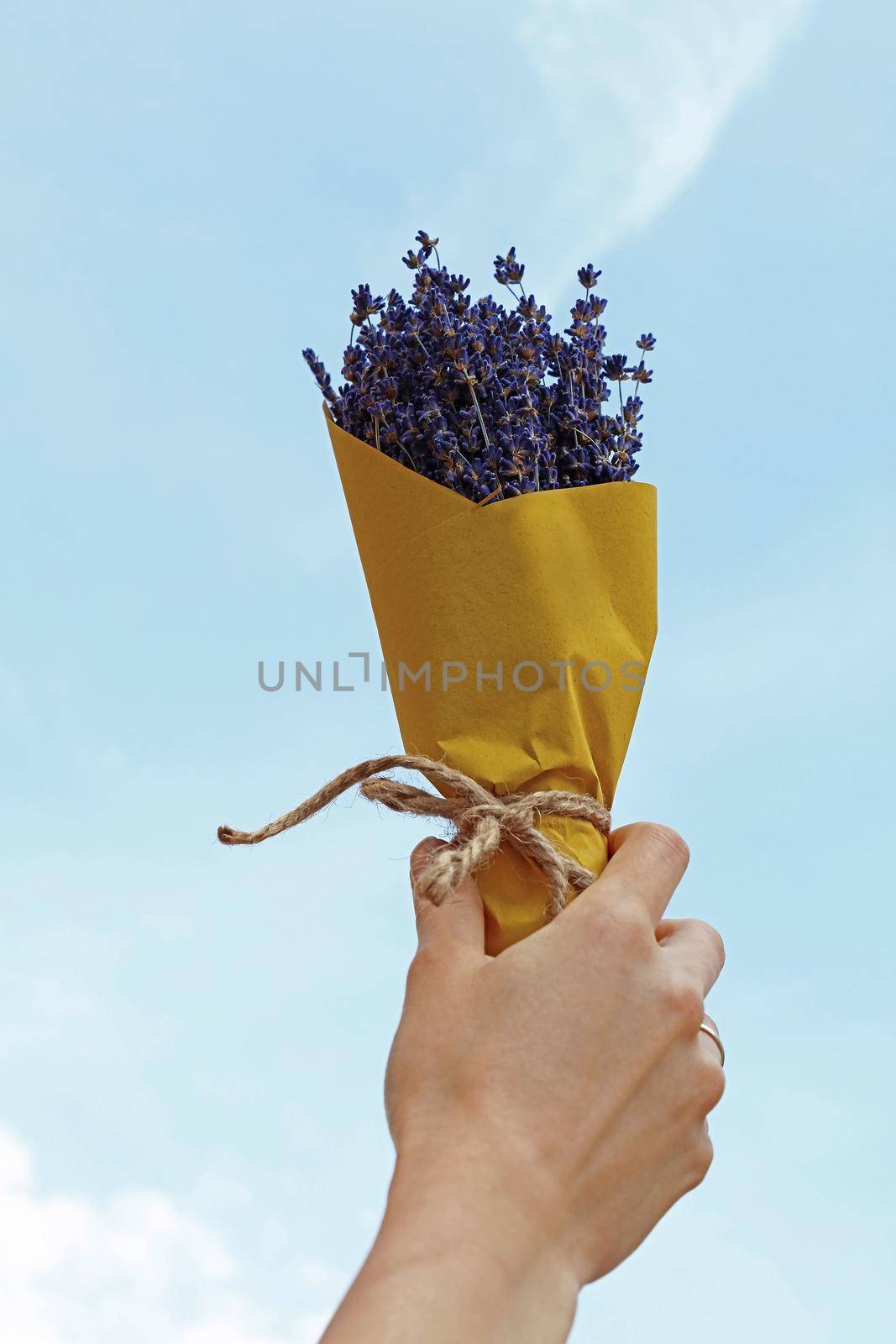 Hand holding dried lavender flowers bouquet by BreakingTheWalls