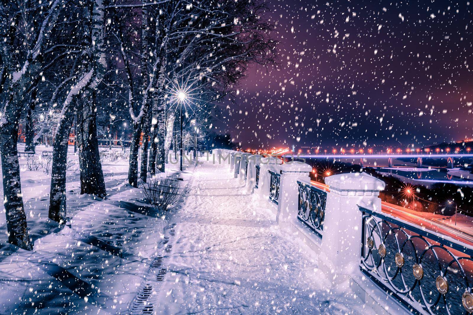 Snowfall in a winter park at night with lanterns, view to road with car motion, pavement and trees covered with snow.