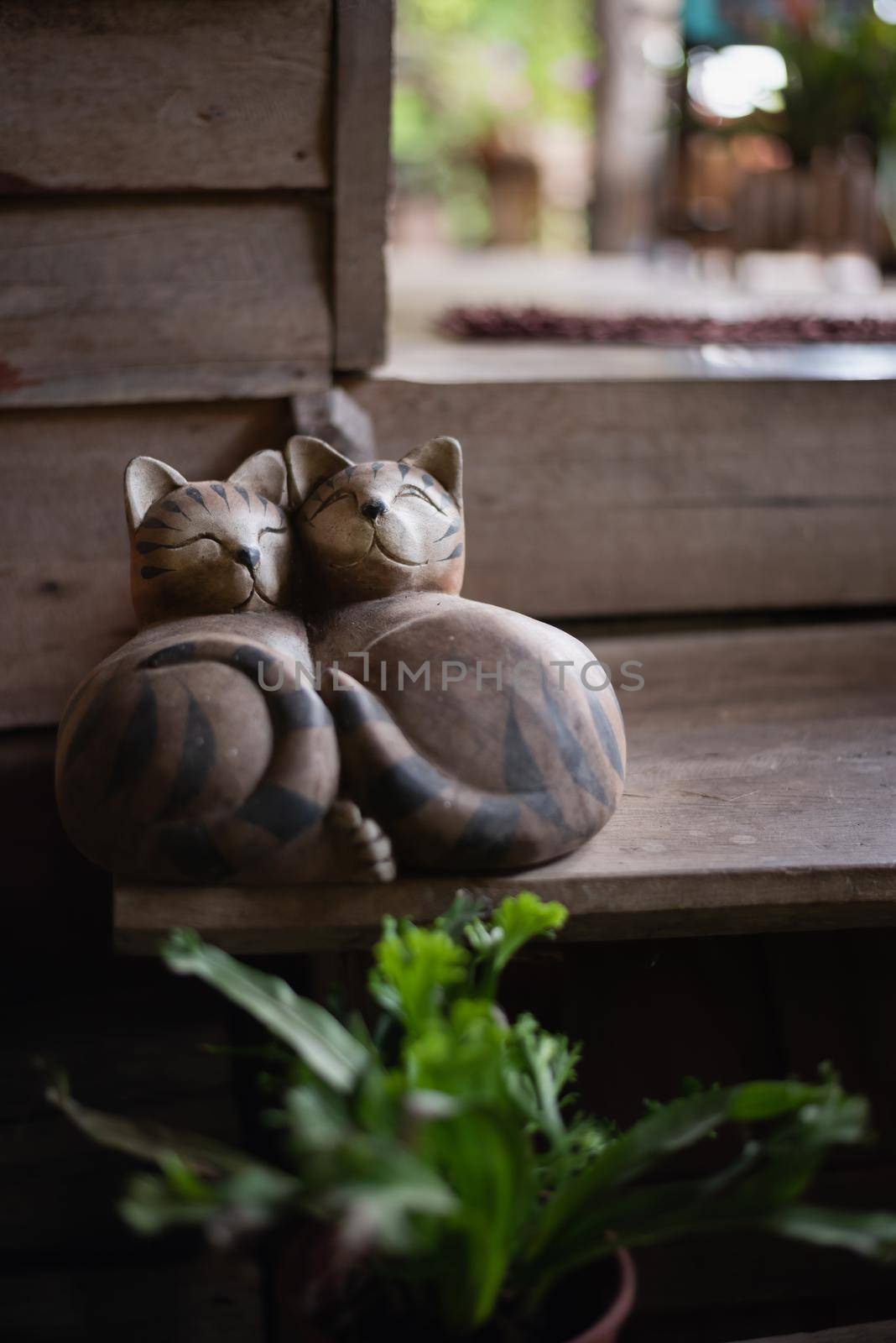 close up of cats doll on wood floor  by Wmpix