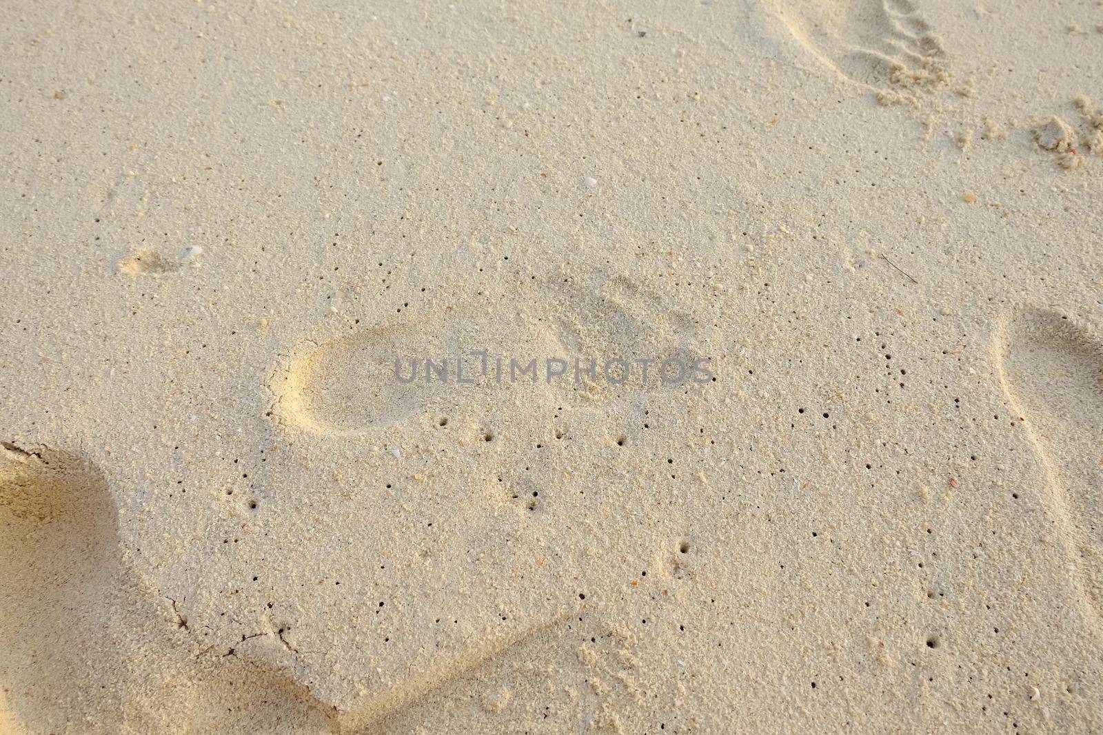 footprint on the beach at the sea