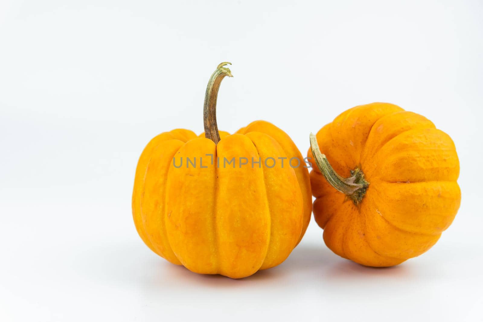 Halloween Pumpkin isolated on white background by Wmpix