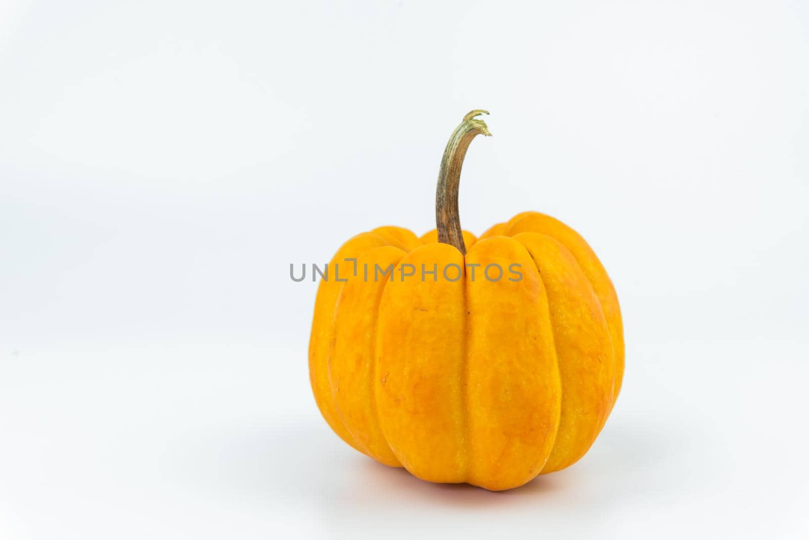 Halloween Pumpkin isolated on white background by Wmpix