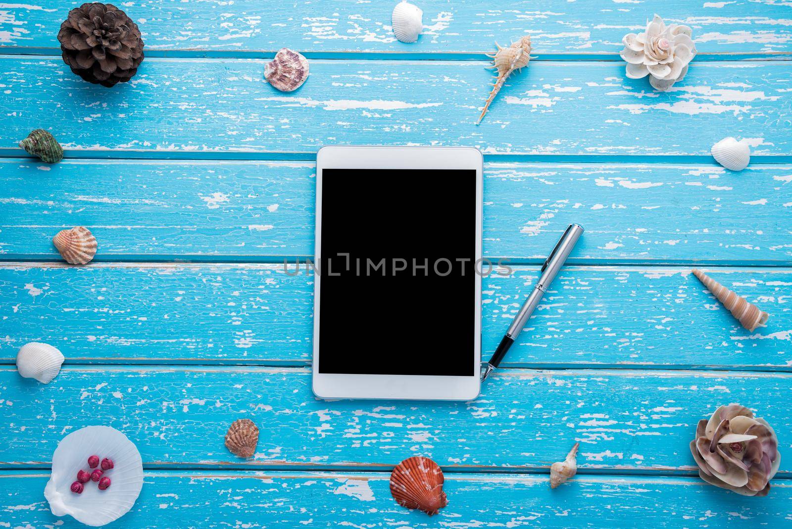 Summer concept, seashells on wood background