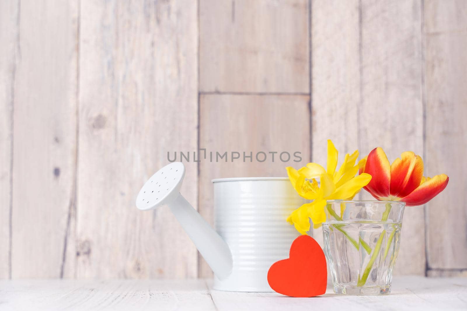 Tulip flower arrangement in glass vase with heart greeting, watering can decor on wooden table background wall, close up, Mother's Day design concept. by ROMIXIMAGE