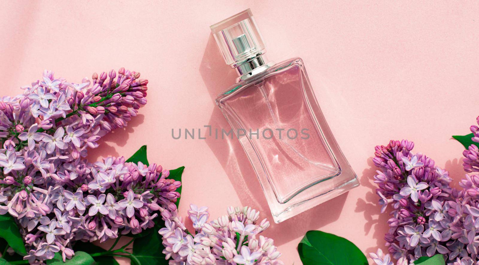 A bottle of perfume and lilac on a pink background . Women's perfume. Spring fragrance. Aromatherapy. Nice smell. Beauty and fashion. Article about the choice of fragrance. An article about current flavors . copy space. A branch of lilac. Nature