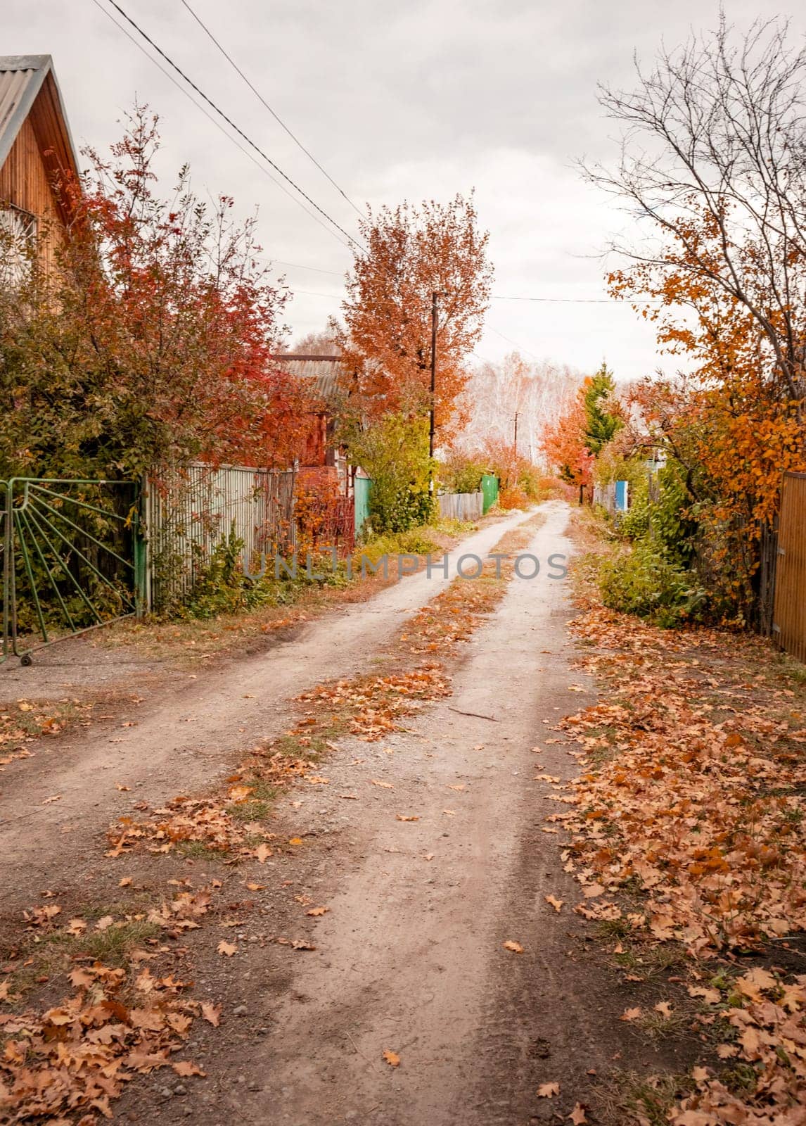 Rural road and fence, along village houses, with fallen autumn leaves and pillars, autumn landscape by claire_lucia