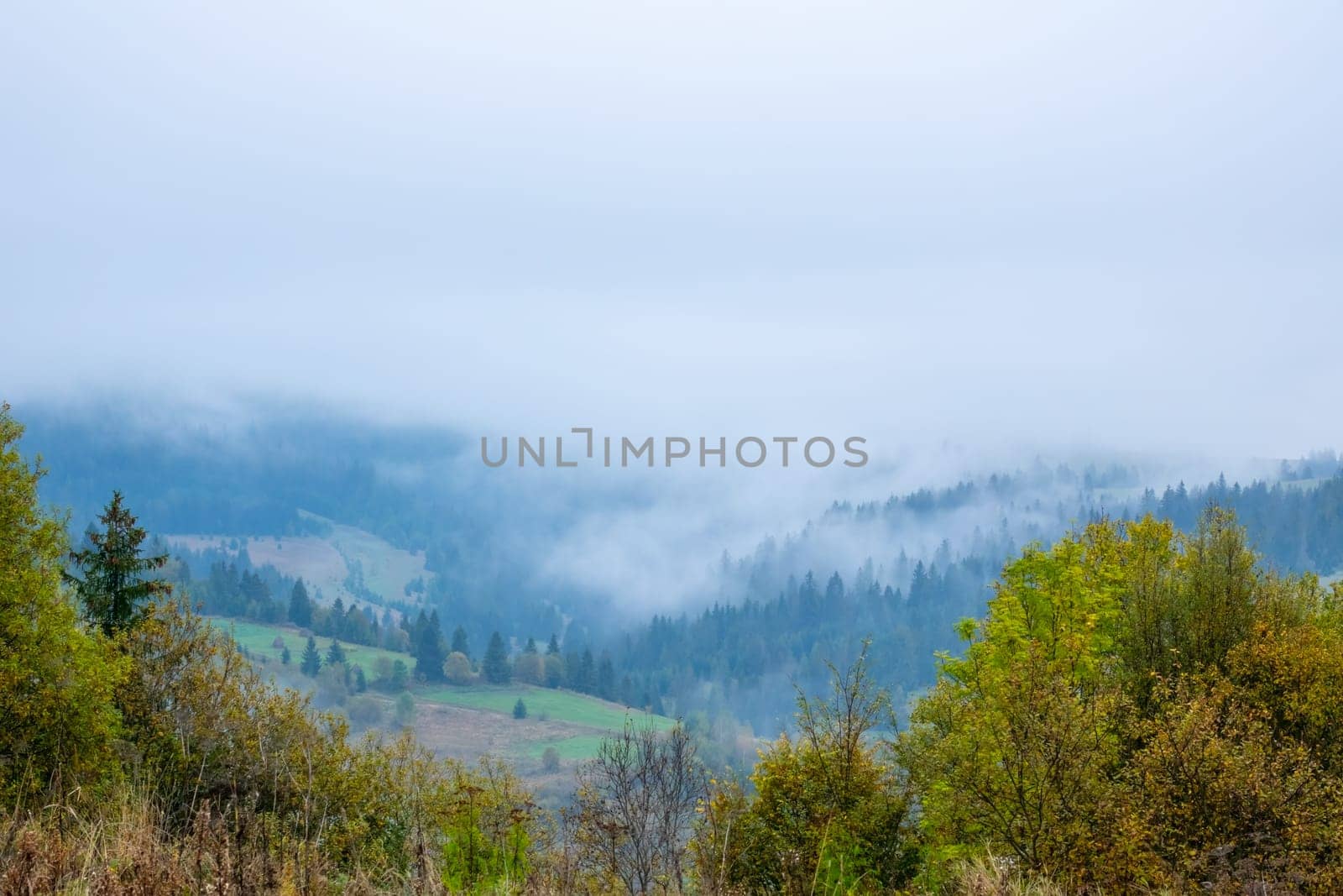 Early morning in summer Ukrainian Carpathians. Thick fog hides the sky and the tops of the hills. Forest and pastures in a mountain valley