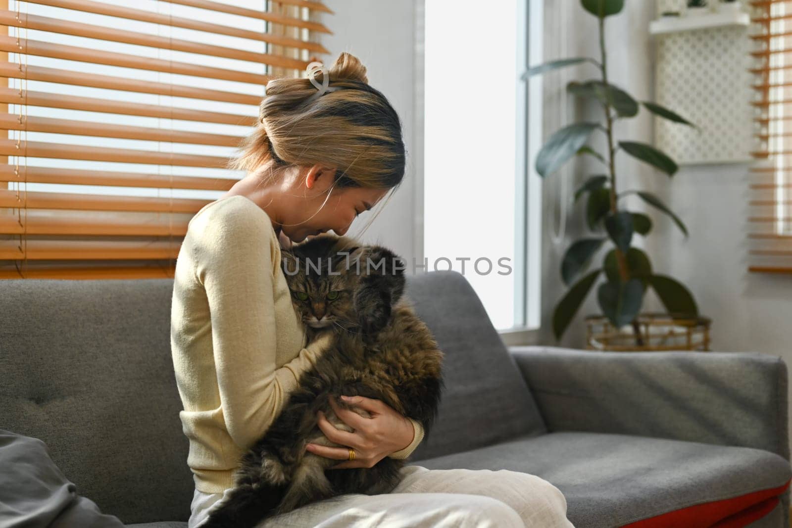Loving young woman playing with her fluffy cat at home. Human, domestic pet and lifestyle concept.
