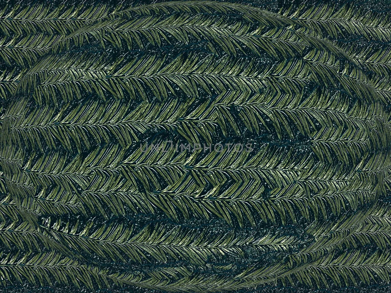 Background texture, pattern of coniferous branches.