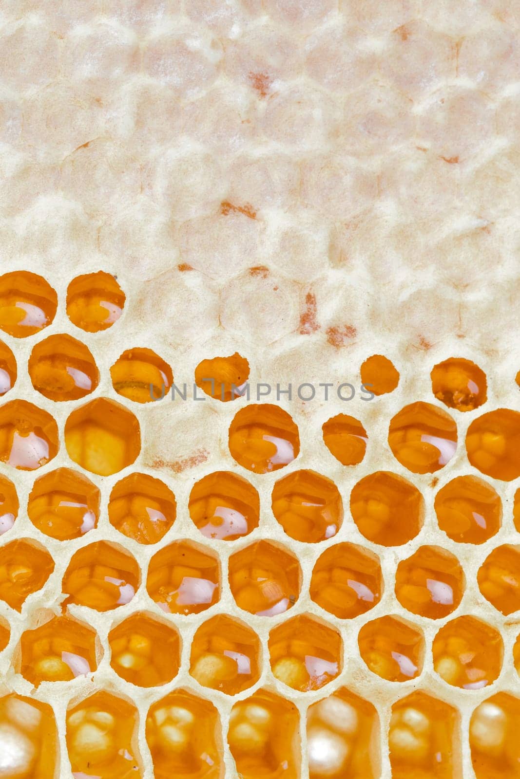 Honeycombs with honey. Natural background.