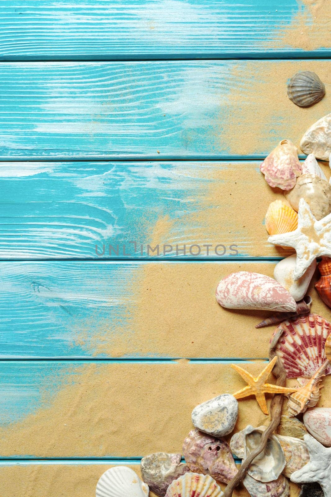 Summer time concept with sea shells by Fabrikasimf