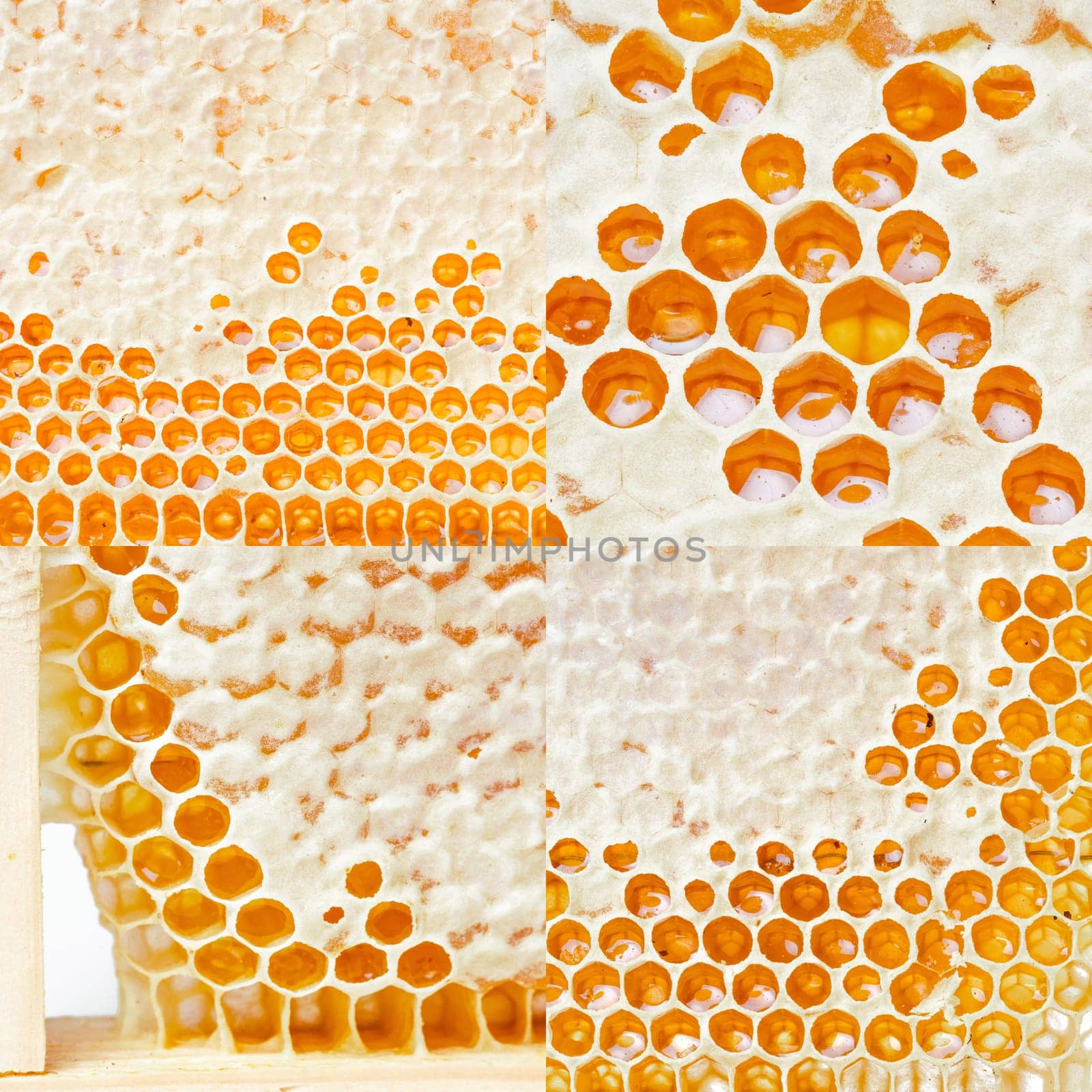 Honeycombs with honey. Natural background. by Fabrikasimf