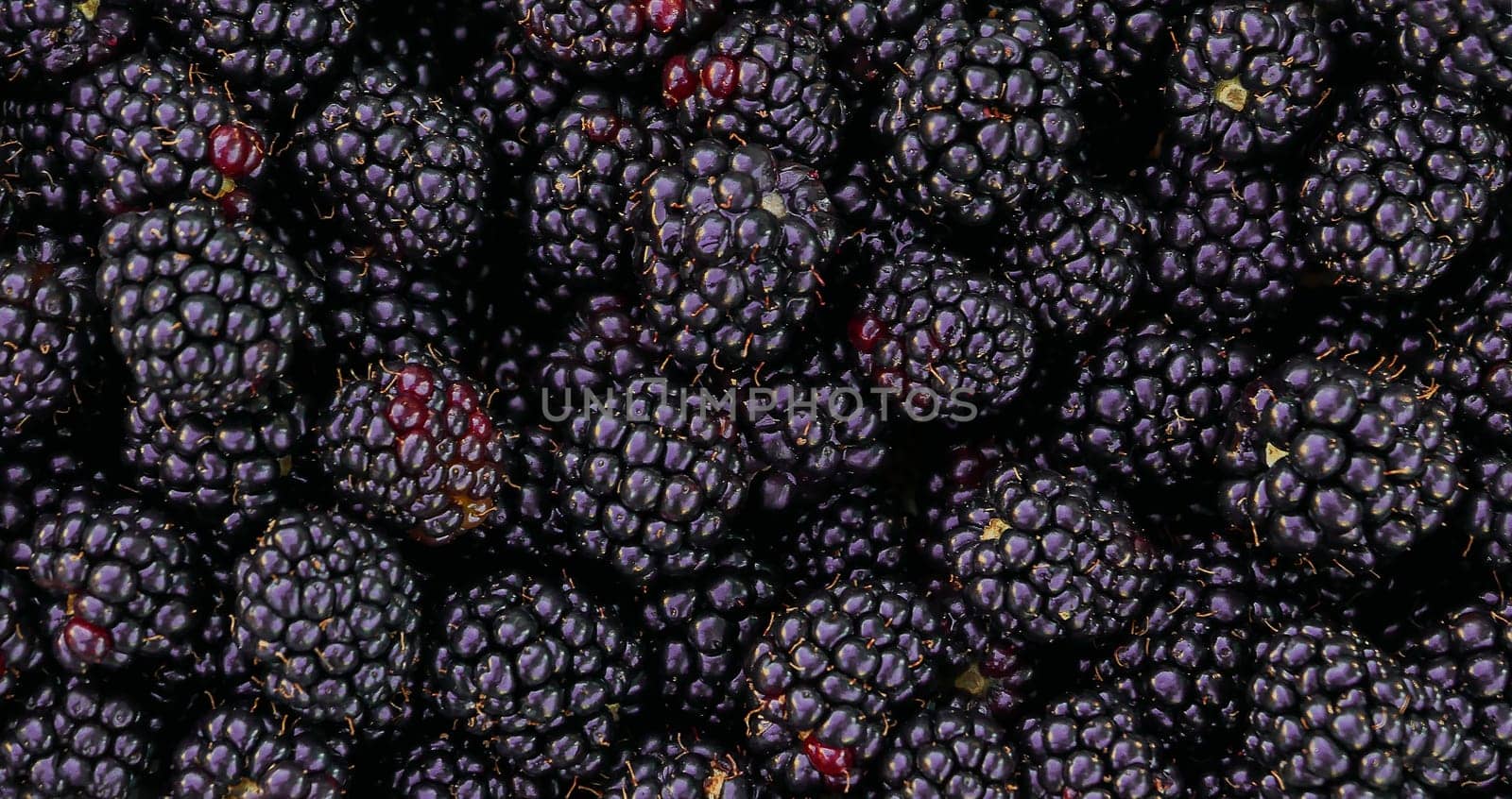 Fresh Ripe Blackberries. Top view of a blackberry close-up.