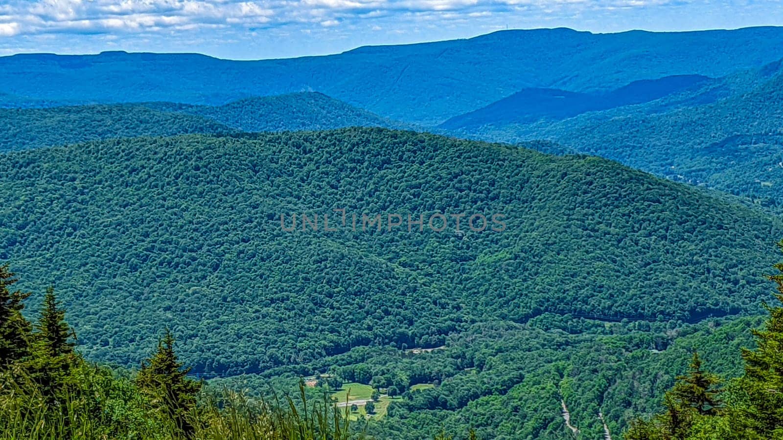 High View of a Mountain Lake Looking Over Evergreens and Pine Trees on a Sunny Summer day