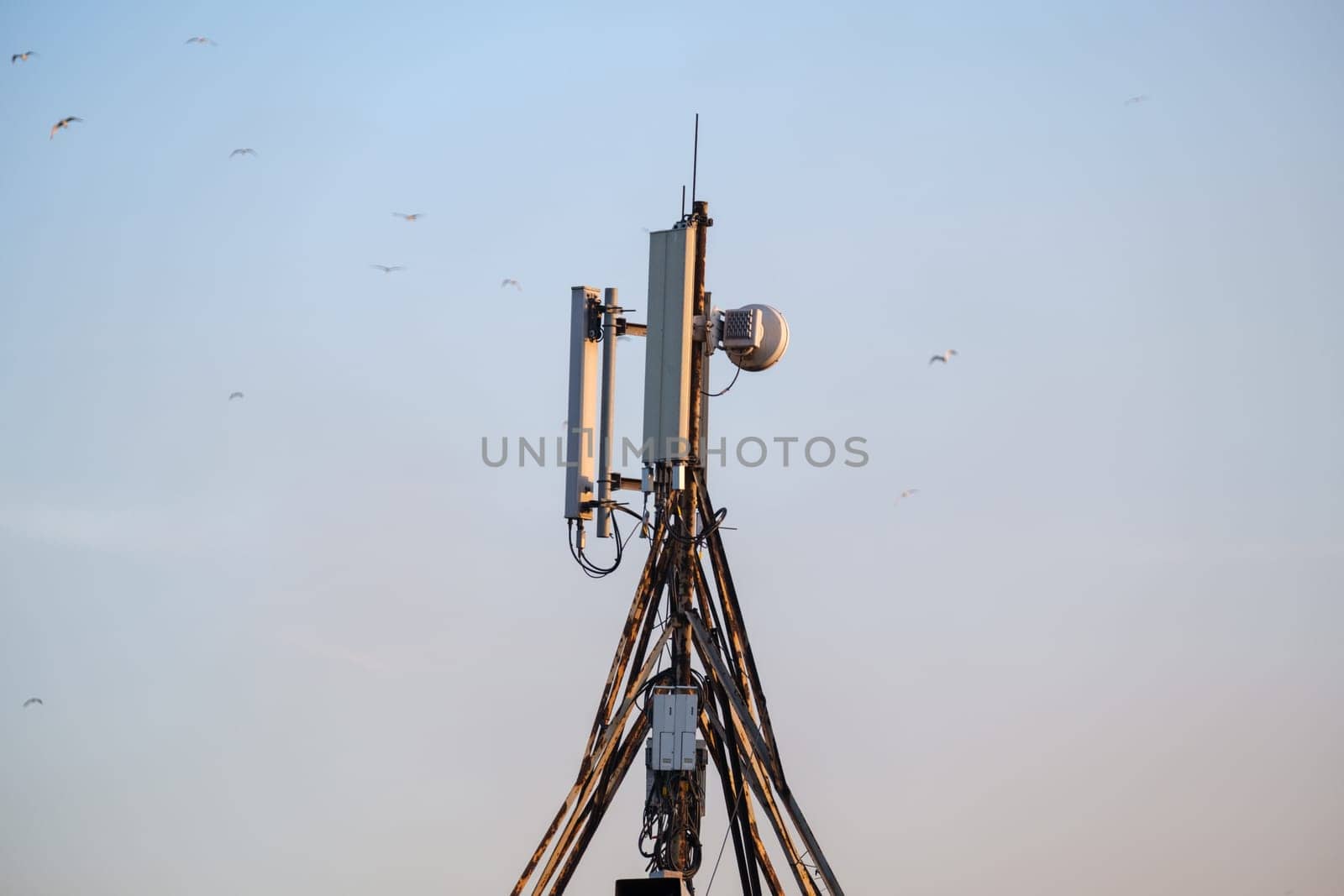 Technology of telecommunication GSM 5G,4G,3G tower. Cellular phone antennas on a building roof. Receiving and transmitting stations with birds on the background.