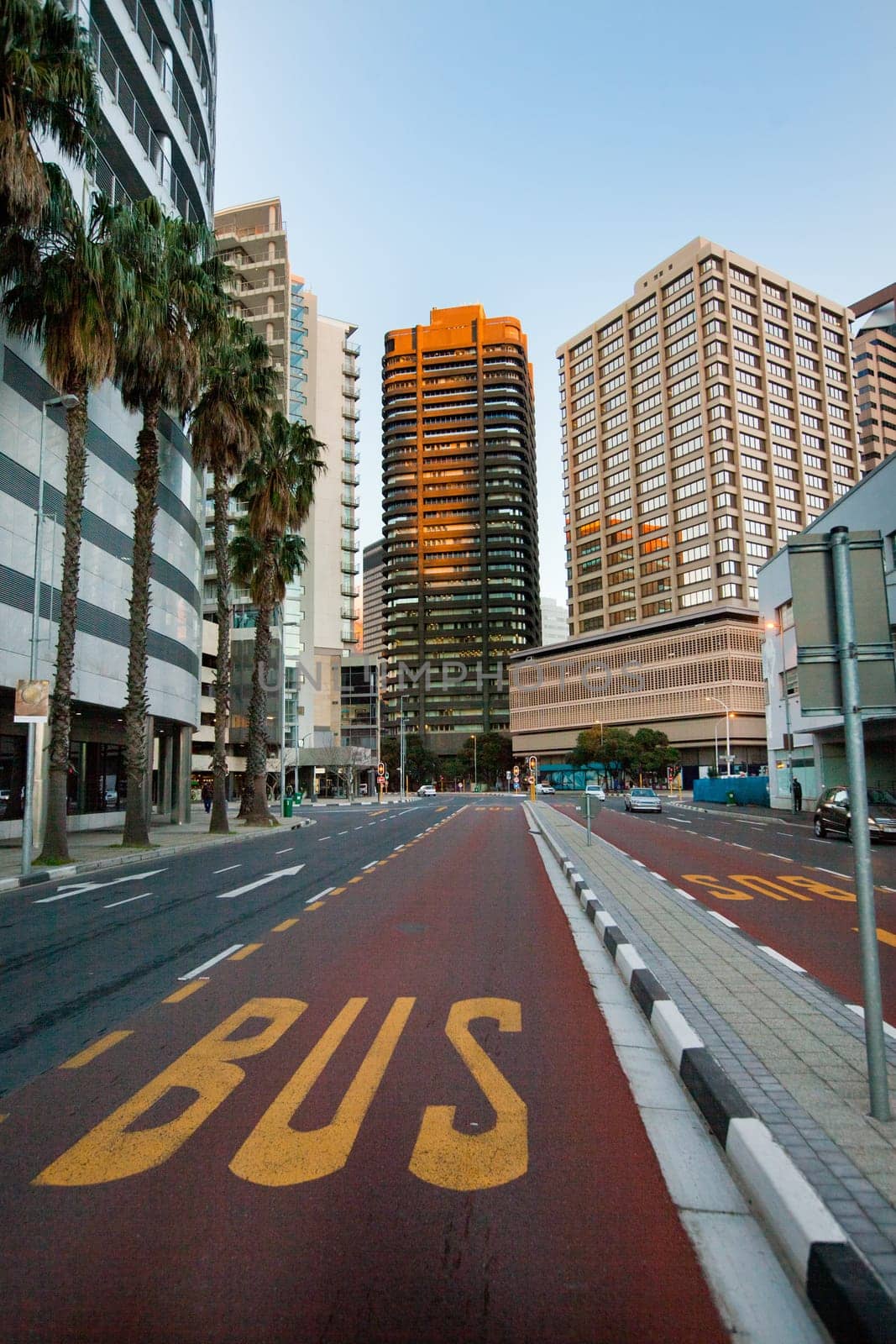 Path, road and lane for bus in city for direction, priority and public transportation. Commute, safety and asphalt with road planning for transit and urban infrastructure, landscape and architecture.