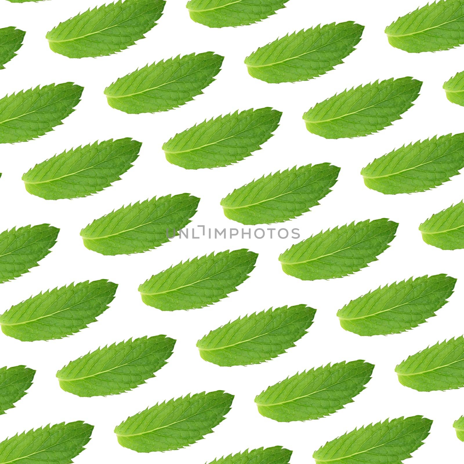 Seamless pattern of green mint leaves  by ndanko