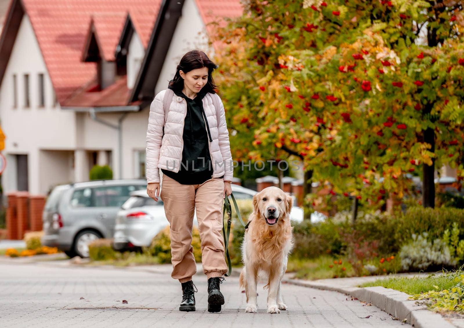 Preteen girl wear on golden retriever dog lace outdoors. Pretty woman with purebred pet doggy walking at autumn street