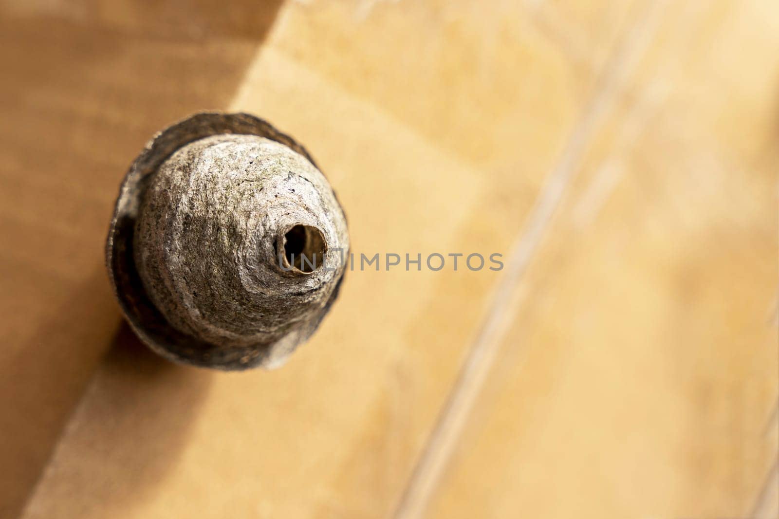 a man's hand in a protective work glove removes a wasps nest from his balcony. Danger or adrenaline. The threat of a wasp bite. Destruction of the wasp nest. wasps