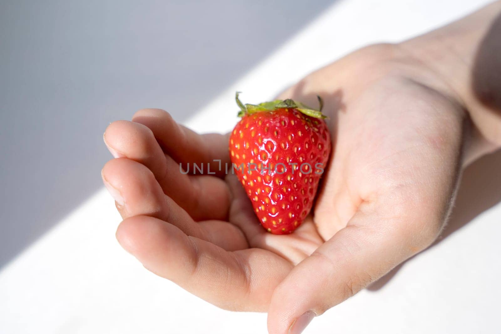 Delicious ripe juicy strawberry berry in a child's palm. strawberry berry lying in the palm of a child. Sunlight. Summer concept of healthy eating. children's joys