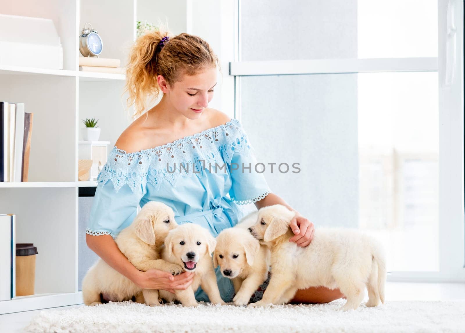 Nice girl and retriever puppies on light room