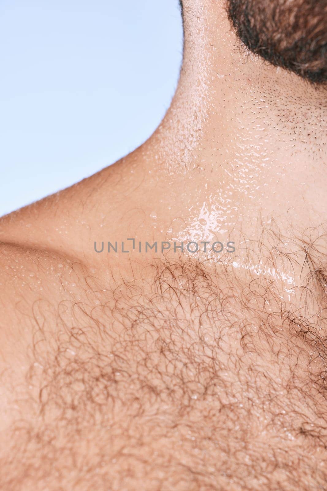 Water drops, wet torso and closeup man in shower for cleaning, care and wellness on background. Beauty, human body and hairy chest in studio for washing, grooming and hygiene cosmetics for skincare by YuriArcurs
