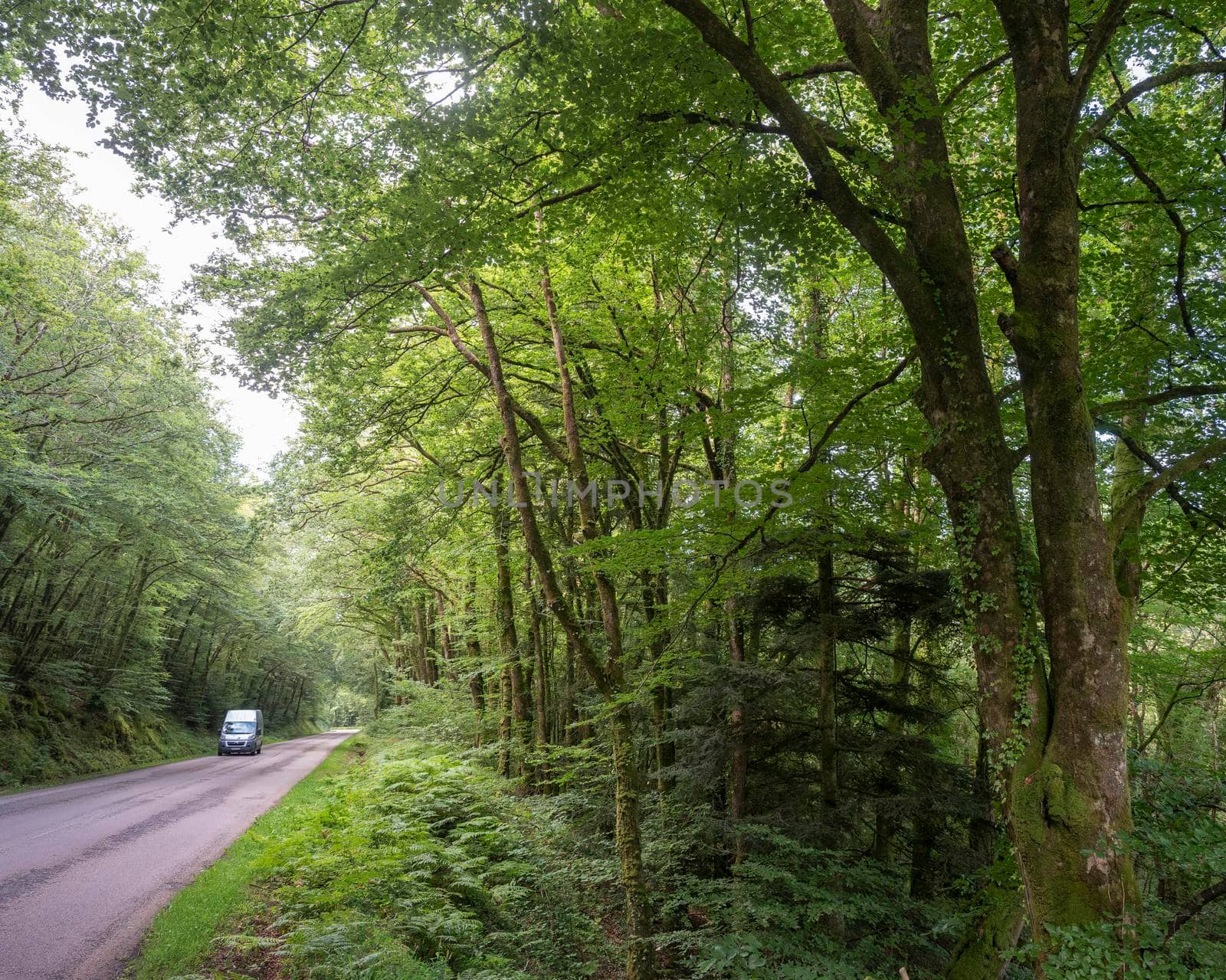 car on country road in valley with forest near Parc naturel régional d'Armorique near huelgoat in french brittrany