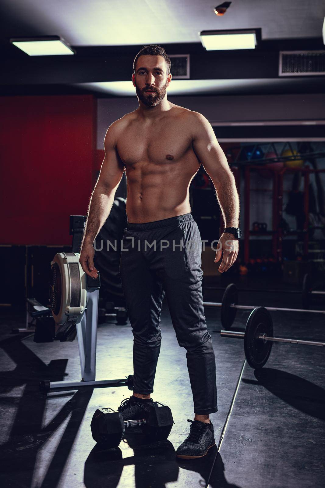 Young muscular man ready to do hard exercise with dumbbell on cross training at the gym.