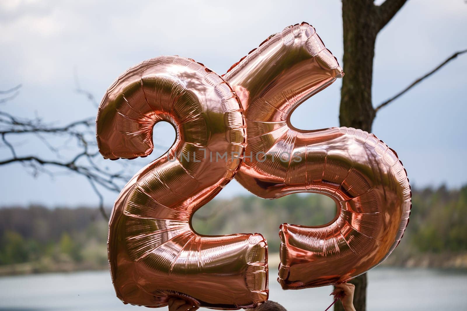 Balloons numbers twenty five in nature