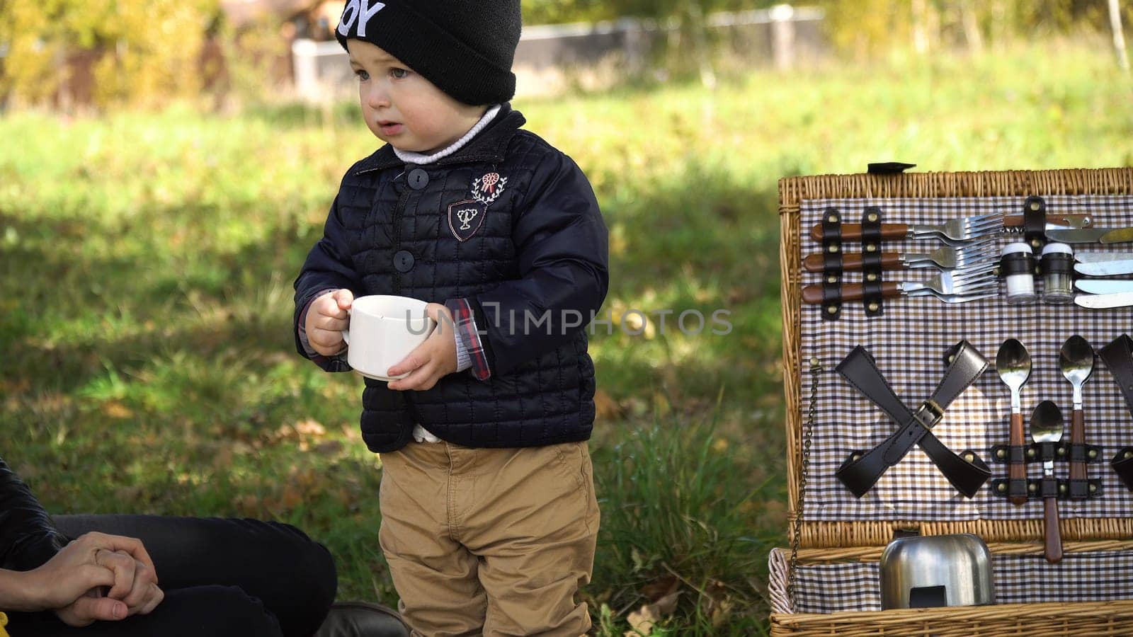 Little boy in the park on a picnic. Cute little boy in the park with a basket for a picnic.