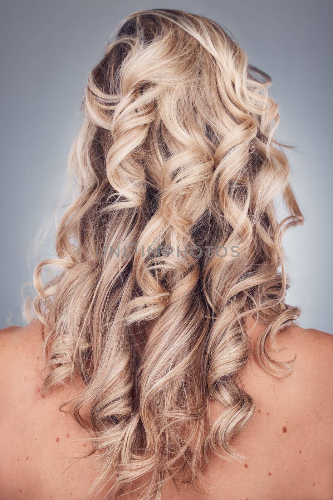 Curly hair, wellness and woman with healthy hairstyle texture after salon treatment in a studio. Gray background, isolated and model with hairdresser balayage, dye and growth from haircut and keratin by YuriArcurs
