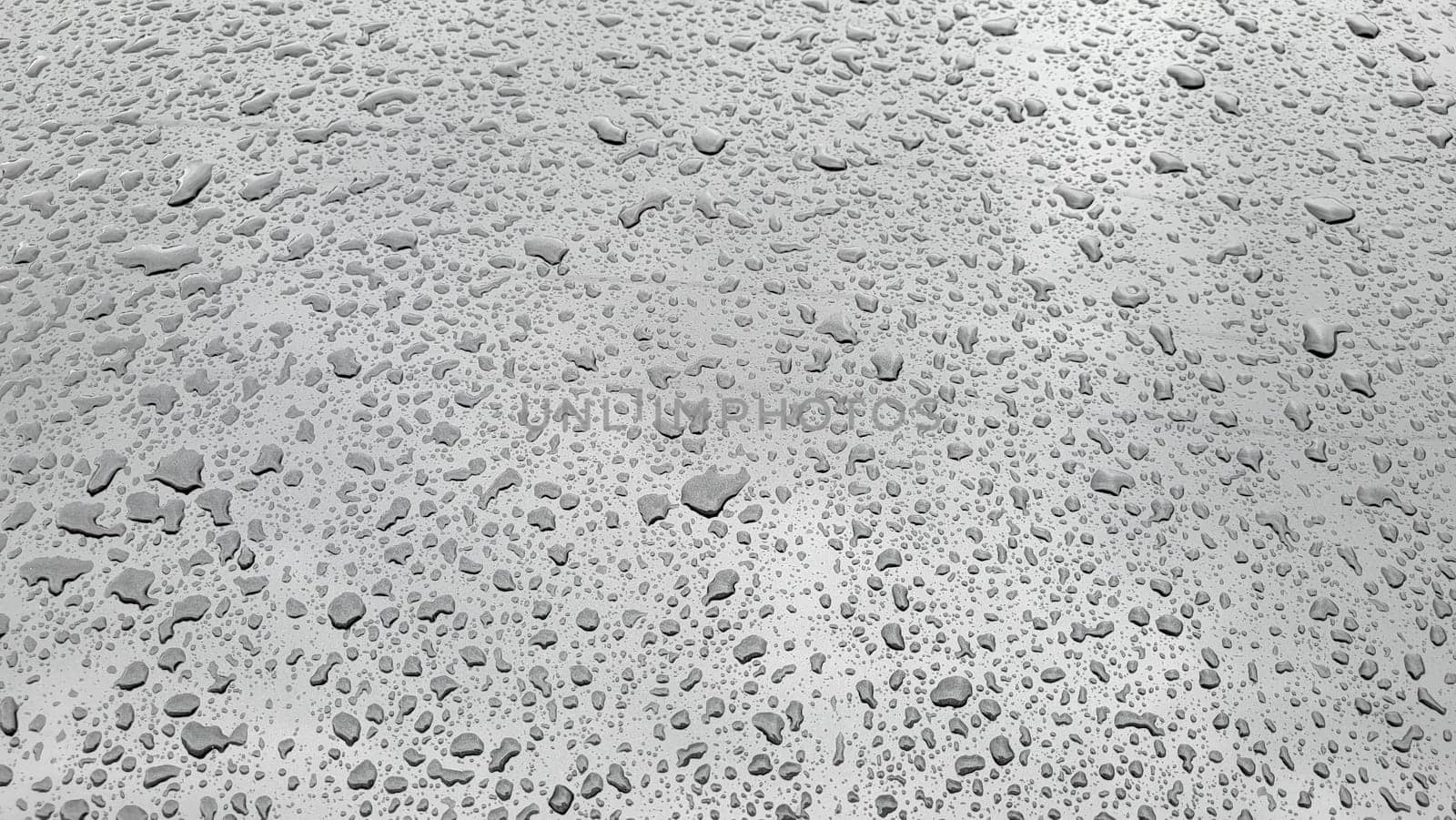 A drop of water on the hood of the car. Water drops after rain or car wash by lapushka62
