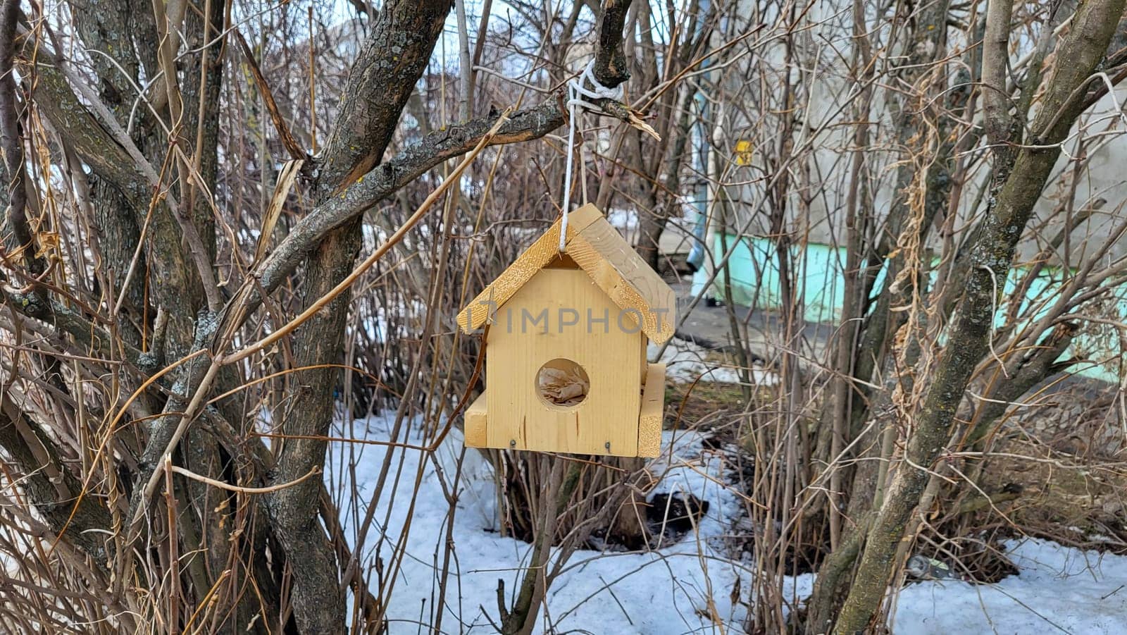 Wooden house bird feeder in winter suspended on a bush