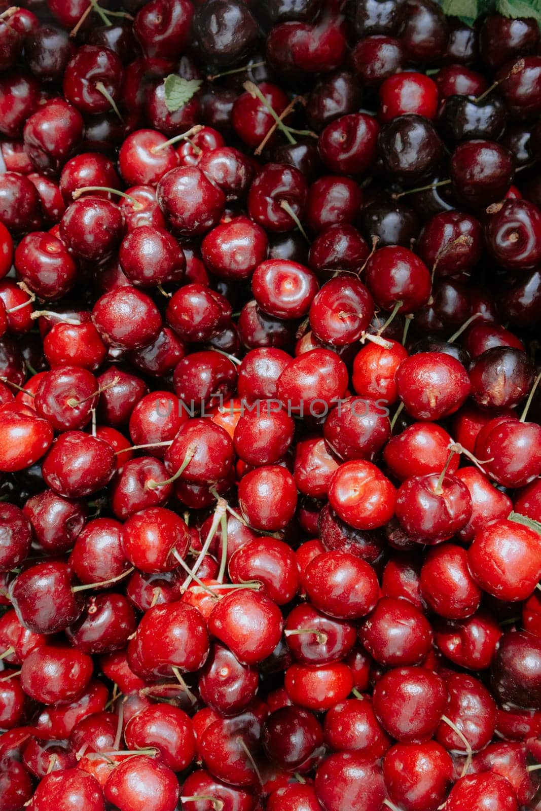 Pile of fresh cherries on sale on a green market