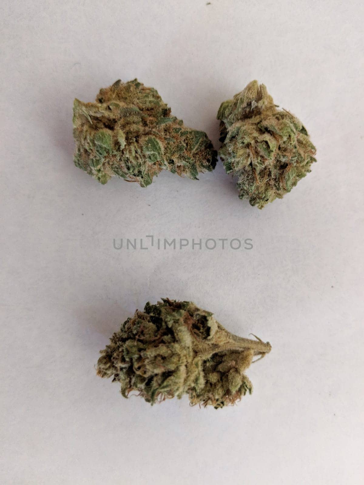 Three cannabis buds on a plain background