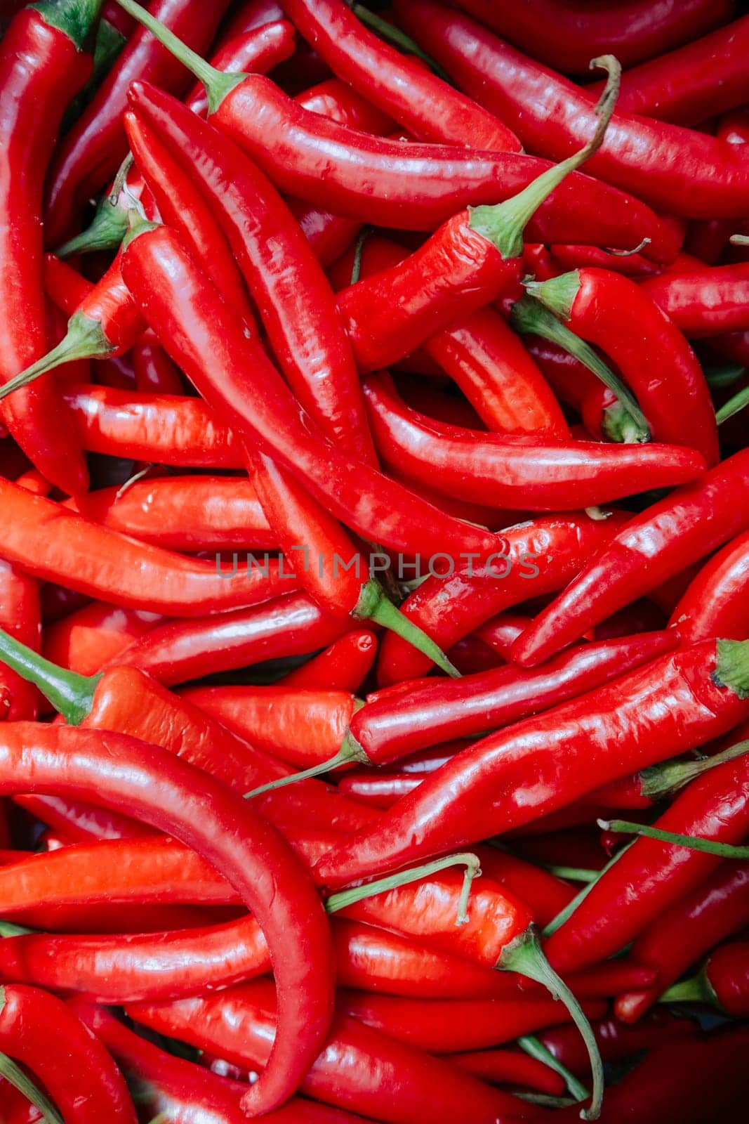 Pattern of red chilly peppers sold at green market, overhead view